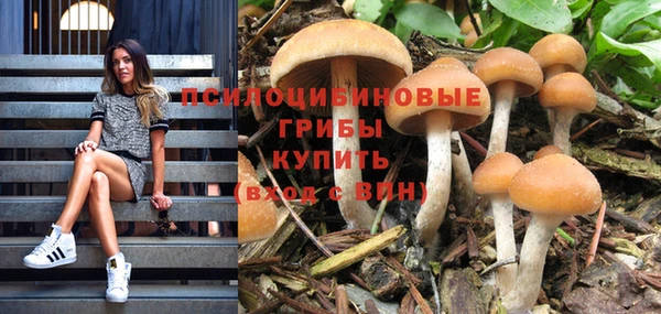 a pvp Армянск